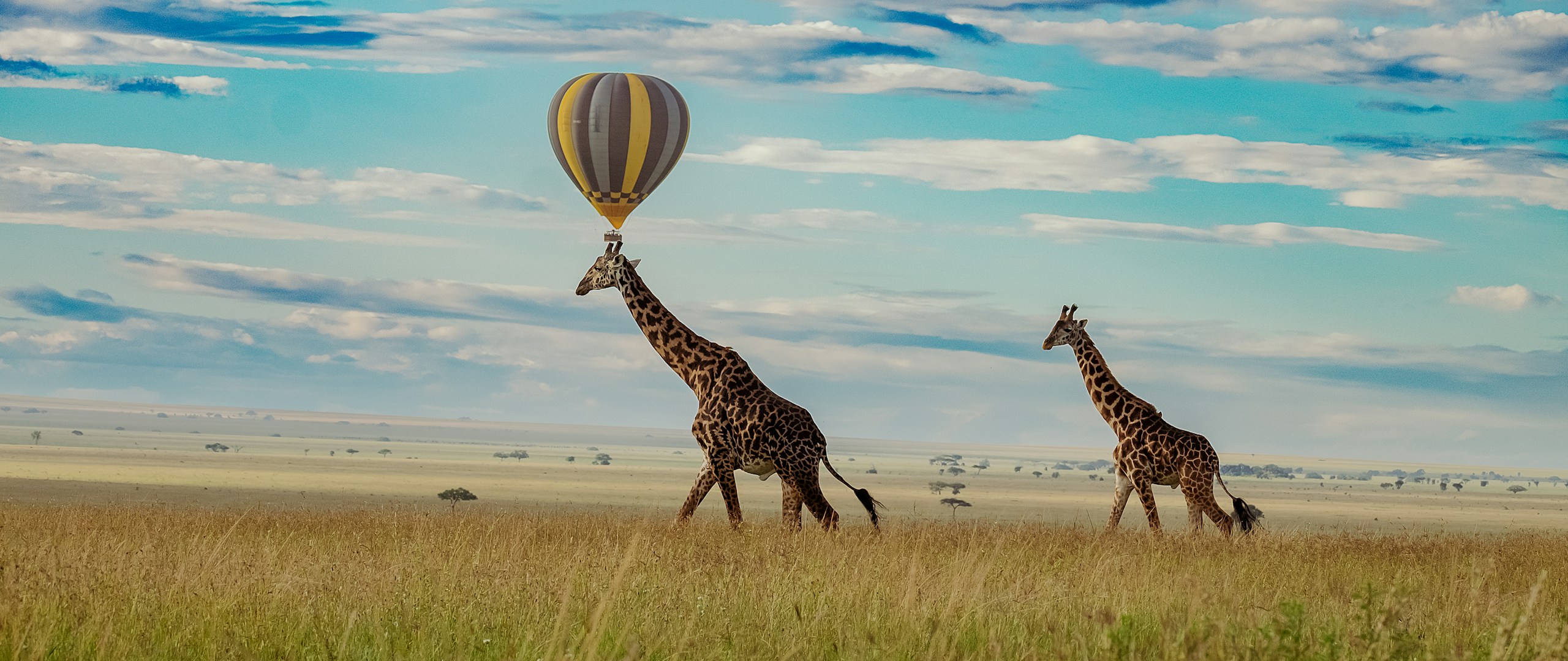 Hot air balloon safari over the Serengeti, Tanzania