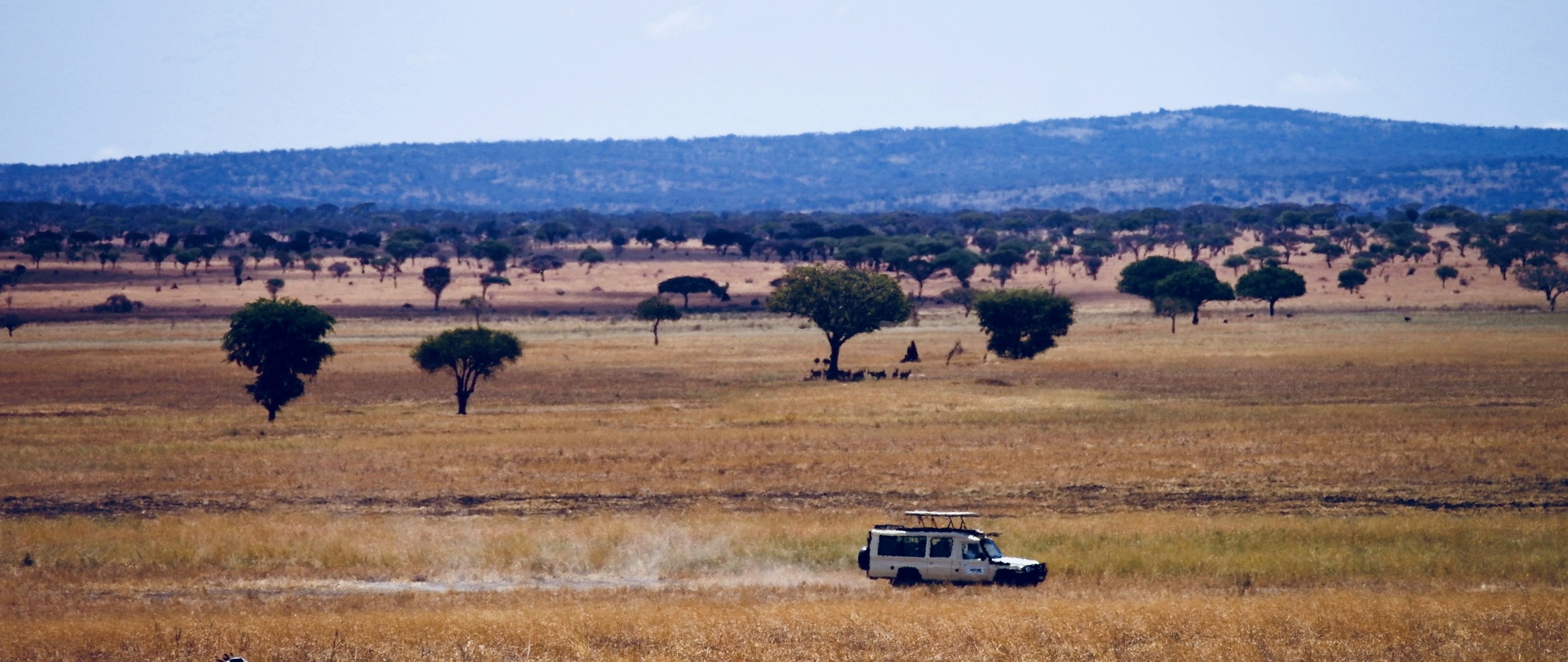 Serengeti National Park — safari vehicle on the savannah, Tanzania